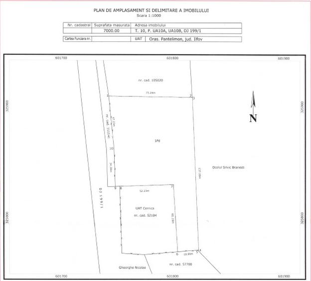 Teren 3.000 mp intravilan + 7.000 mp padure – Cernica, DJ301,A0 - 4