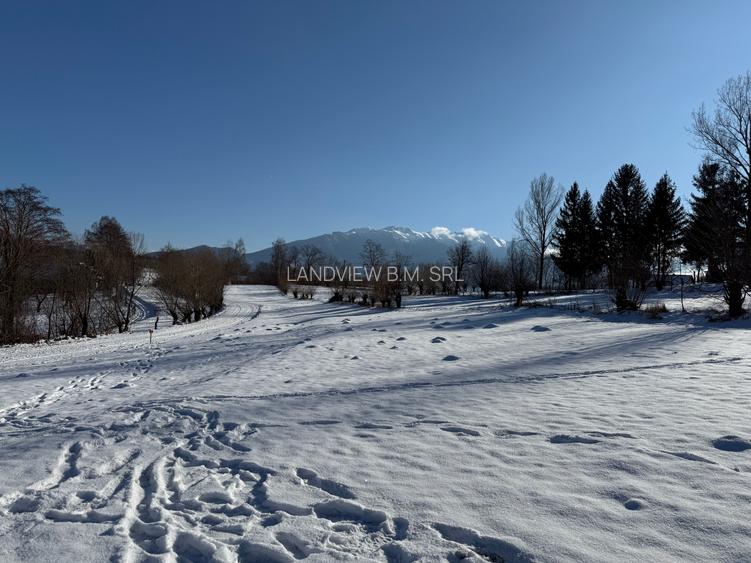 Teren intravilan zona Bran-Tohanita,judetul Brasov loturi intre 500 si 1000 m - 9