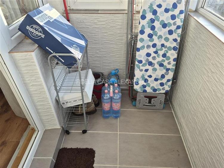 Apartament 3 camere de vanzare Alexandru cel Bun - 12