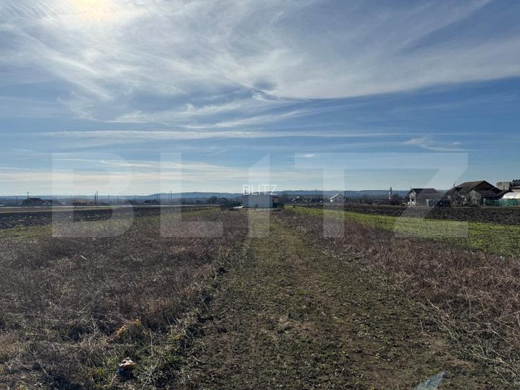 Hala 336 mp pe un teren de 3.000 mp, cu acces din drum asfaltat, Racari - 8