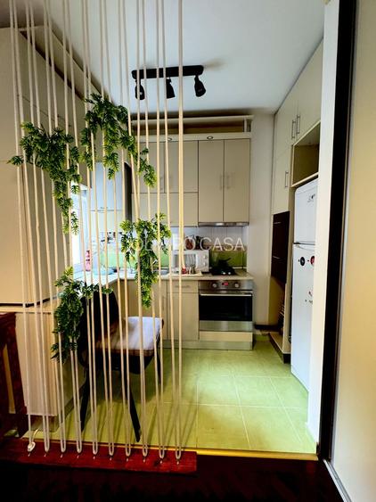 Garsoniera-Victoriei Popa Tatu- Creditabila-mobilata si utilata - 3