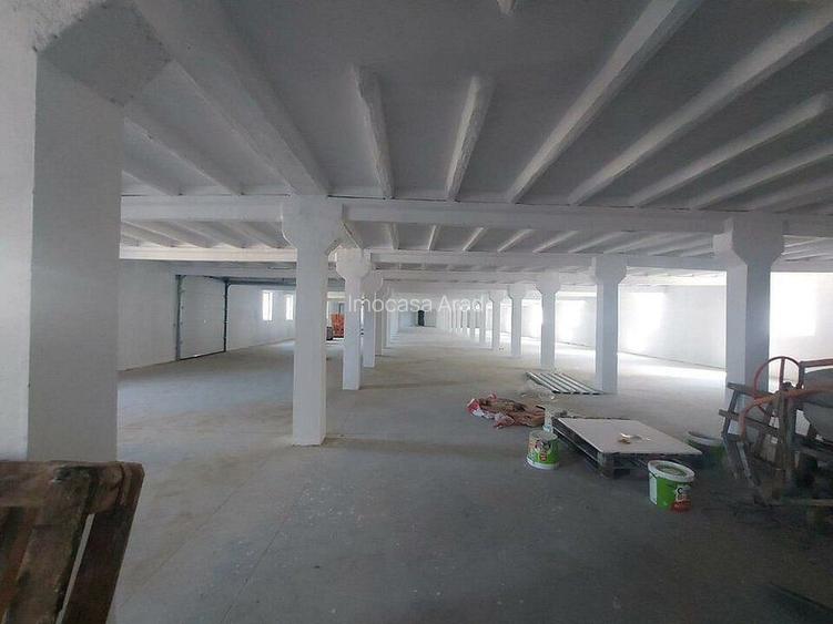 Hala depozitare, productie Bodrogului Aeroport Arad Autostrada A1 - 7