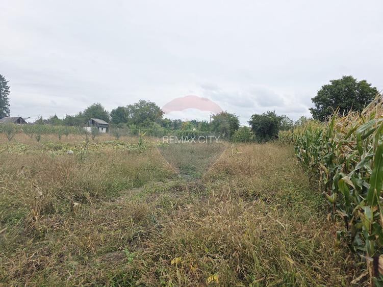 Casă cu livadă și teren generos – Girov - 48