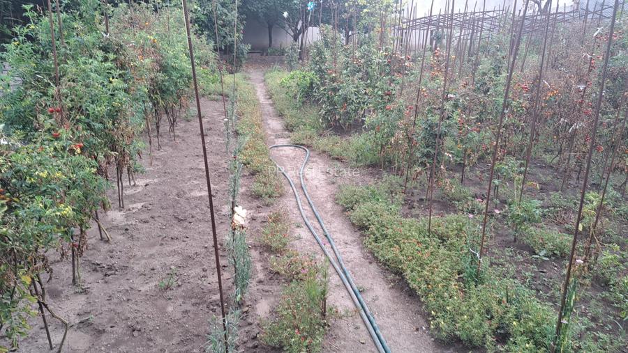 Stadion - scoala sportiva - teren 828 mp / 13.2 deschidere stradala - 7