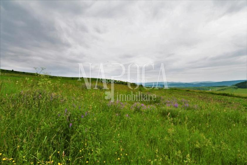 Teren extravilan pentru constructii de vanzare in Popesti - 5