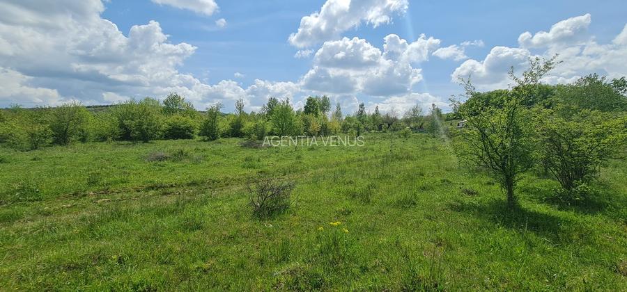 Teren 1500 mp pe str Paltinului, Valea Ghinzii , extravilan Bistrita - 4