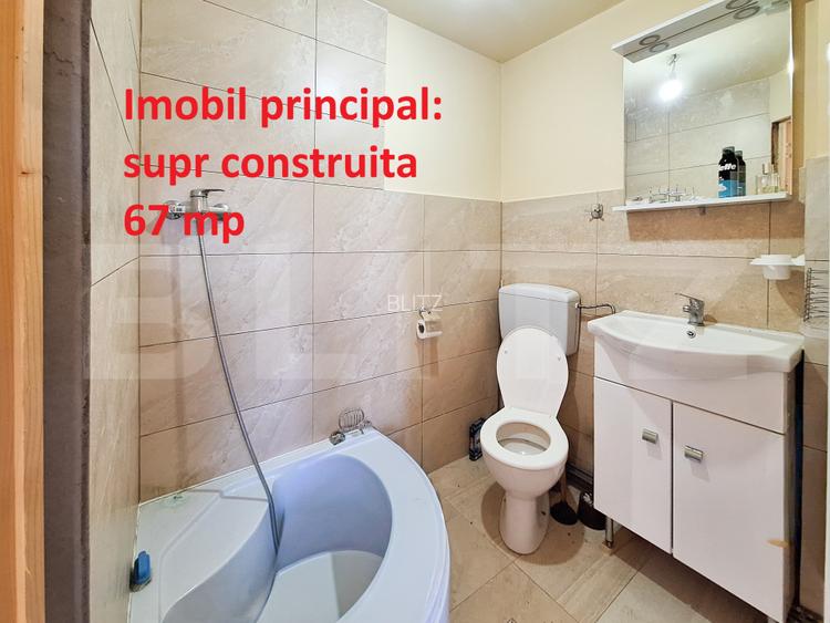 Proprietate cu 3 imobile si 1281 mp teren, Salistea Noua - 2