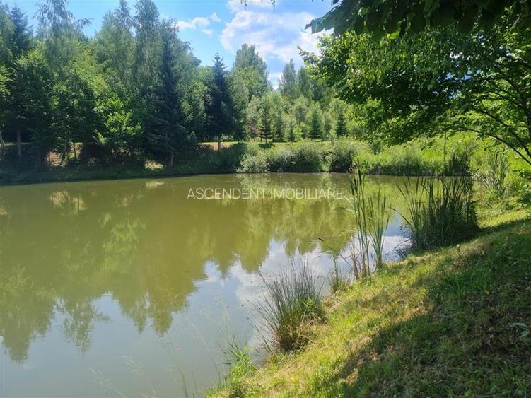 FILM! Oaza paradisiaca cu lac, vedere catre Bucegi, Glajerie/ Rasnov, pretabil C - 24