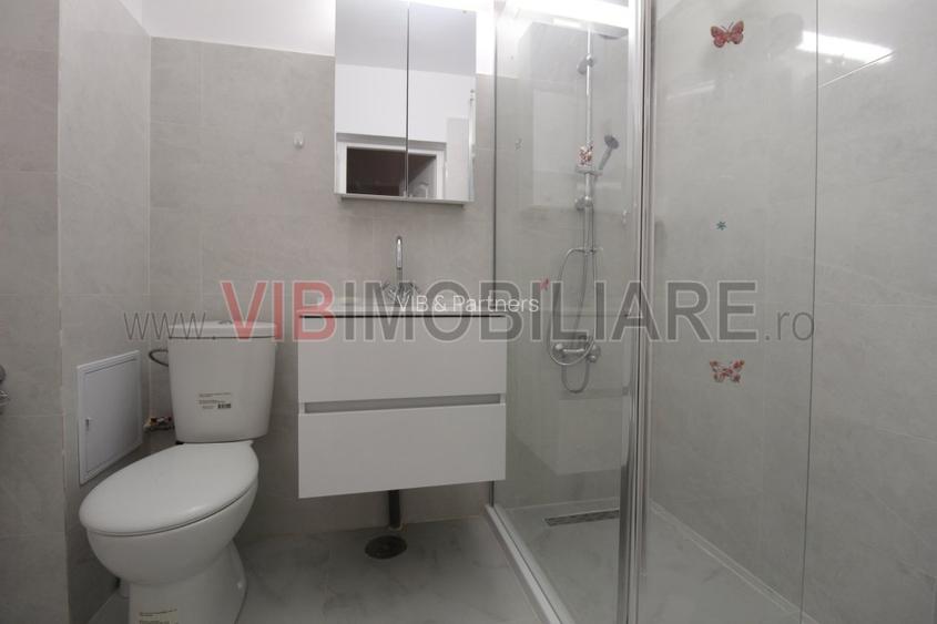 Piata Alba Iulia - Decebal - studio prima inchiriere - vedere bulevard - 14