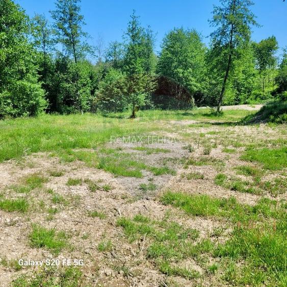 Oază de liniște – teren de vânzare 6.725 mp - 6