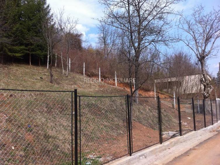 Teren Construcții intravilan de 4221 mp, în Central - 3