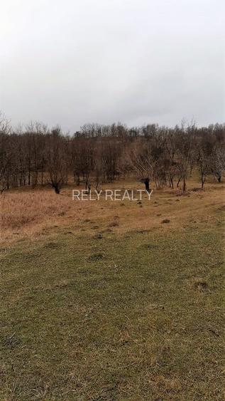 Teren Alunis / Jud. Prahova, 9.826 mp, D: 43 m , comision 0% - 5