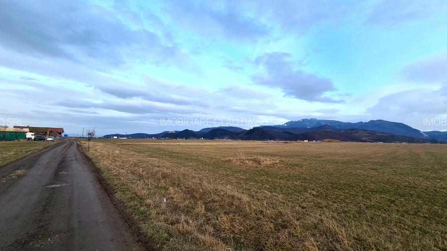 TEREN 5000  mp EXTRAVILAN LANGA SENS GIRATORIU RASNOV - PANICEL - 2