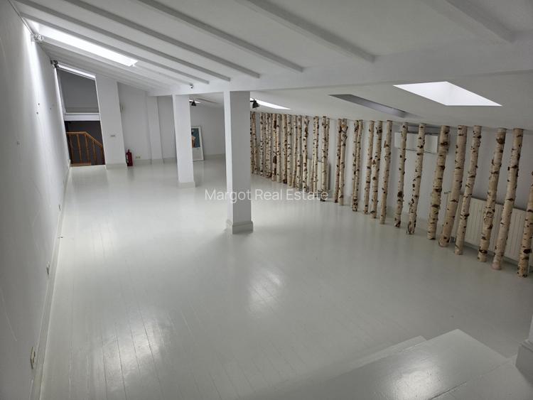 Vila interbelica de inchiriat/pretabila activitati comerciale/Victoriei - 19