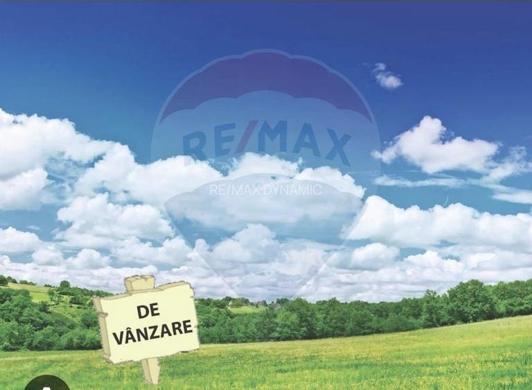 Pasune 21 ha pretabila pentru panouri fotovoltaice,impadurit - 2