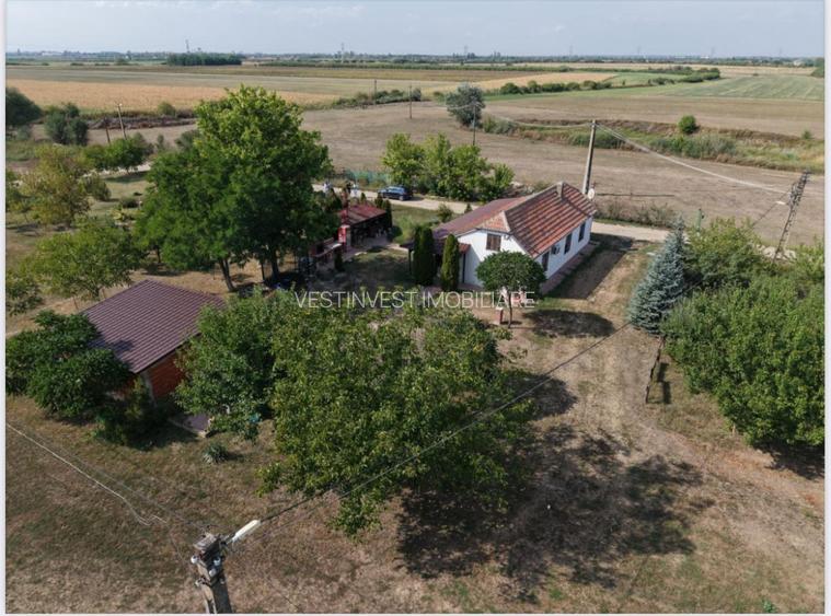 Spatiu multifunctional Salonta - 3