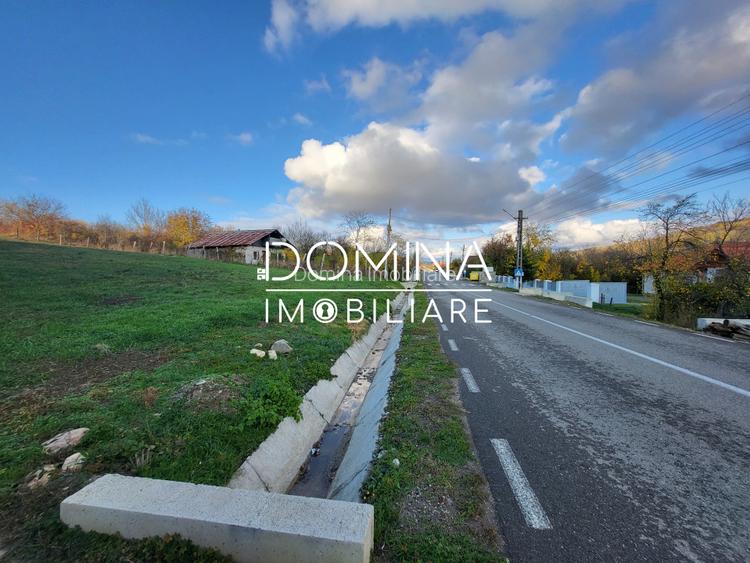 Teren 11.939 mp Balanesti – ideal rezidential/comercial - 2