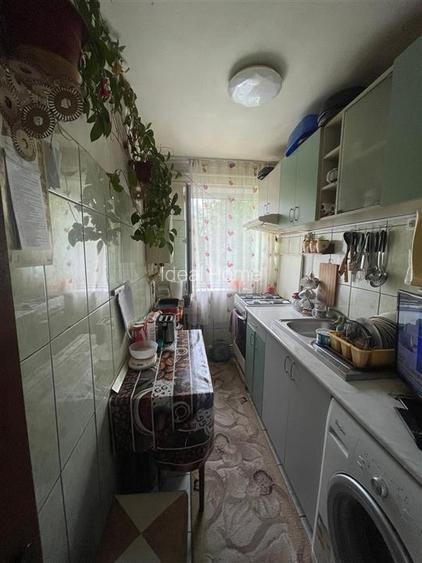 Apartament 2 camere Alexandru- Olimp - 3