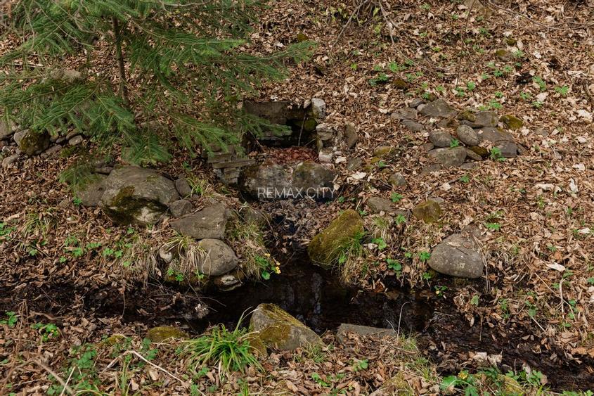 Casa si teren intravilan Tarcau - 20