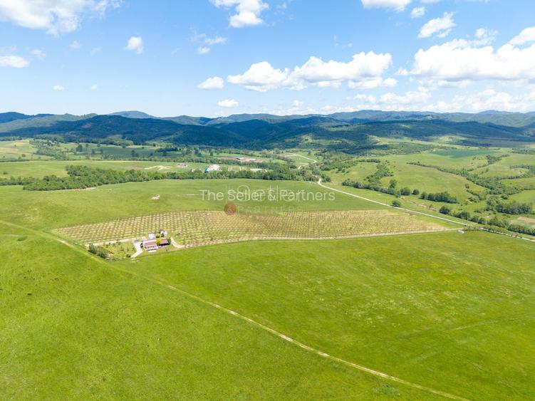 PROPRIETATE CU LIVADA MATURA DE NUCI SI POTENTIAL INVESTITIONAL - 91