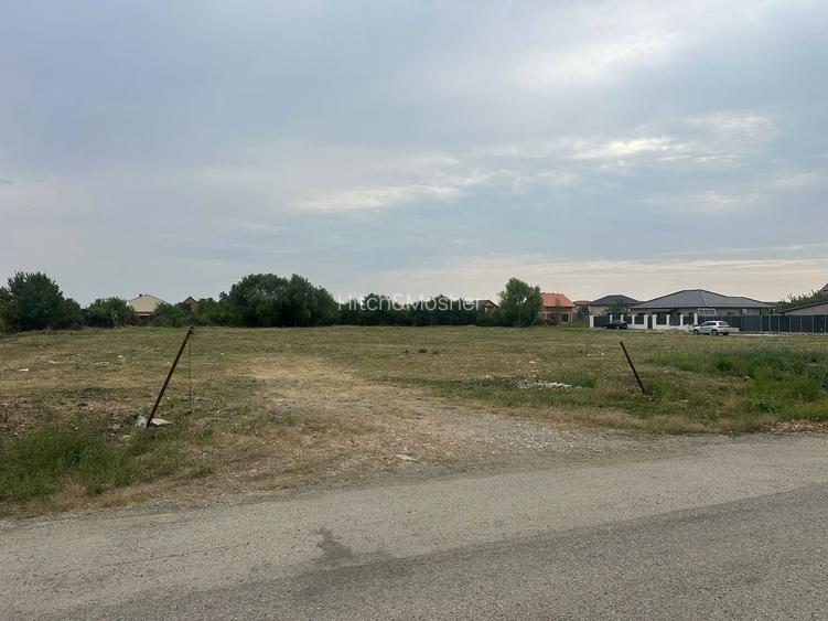Ocazie! Teren 6.000 mp cu toate utilitățile – Săcălaz, zonă excelentă - 4