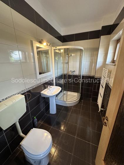 Proprietate cu piscina Dumbravita - 20