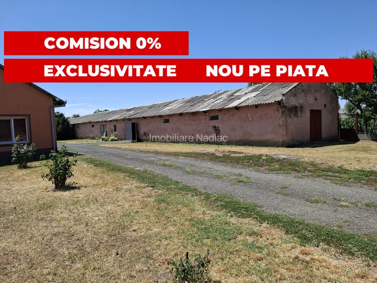 Proprietate mixtă de vânzare în Nădlac – Casă modernă + hală/grajd + teren mare - 3