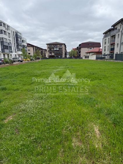 Teren de inchiriat 2500 mp Fundeni Dobroesti Strada Marului - 6