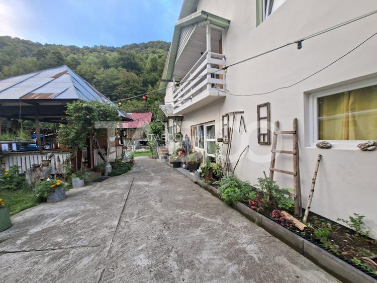 Spatiu de vanzare in Valea Macesului judel Valcea iesire la Lotru - 45