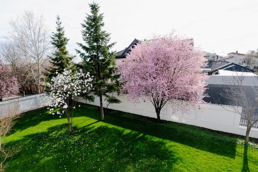 Vilă superbă, renovată integral, pe teren de 1.000 mp, în Pipera - 4