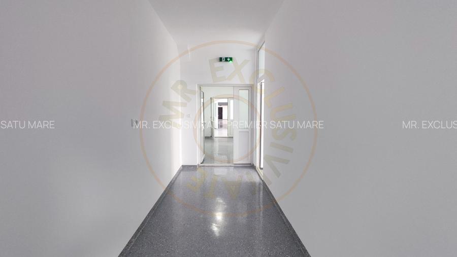Inchiriere Spatii de Birouri/Productie - Str. Uzinei - Carei - Comision 0%  - 5