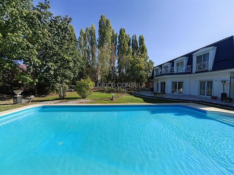 Vilă individuala în zona Iancu Nicolae - 4