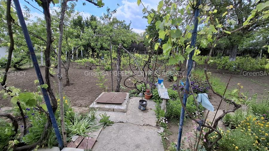 Casa paianta locuibila. Teren 1772 mp, desch. 30 ml. Asfalt, curent, apa, canal. - 7