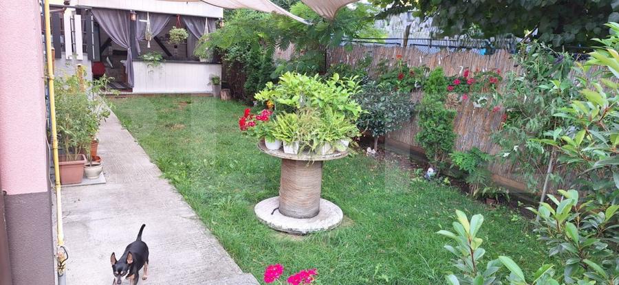 Casa ce se poate imparti in 3 ap, zona Petrom Baciu, 250 mp utili - 11