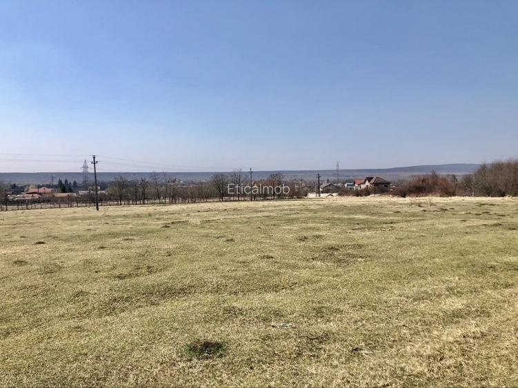 Vanzare teren intravilan- livezi - 6