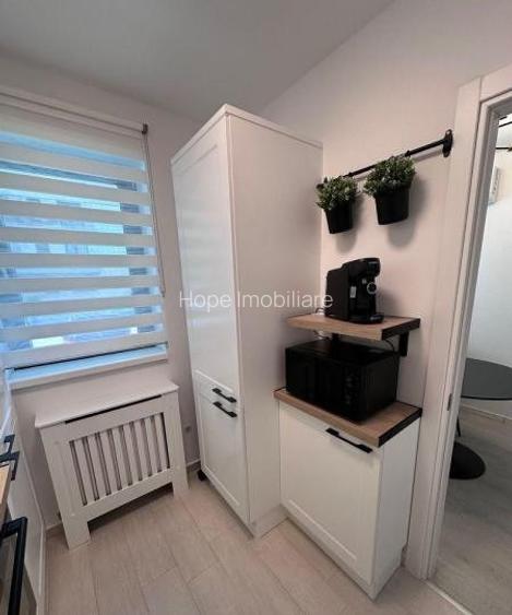 Theodor Pallady -Hills Brauner- Garsoniera lux , ideal investitie - 5