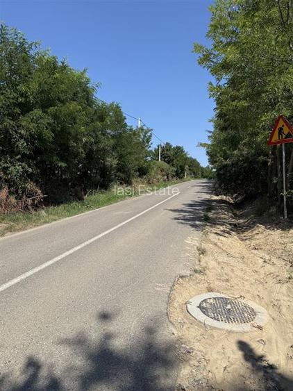 Aroneanu TEREN 14400mp intravilan cu utilitati zona construibila - 3