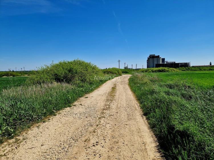 Teren intravilan 5000 mp, str.Sondei, Peris  - 2