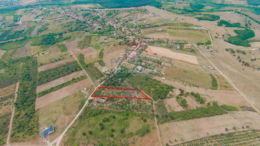 De vânzare Teren 3995mp intravilan Săldabagiu de Munte - 2