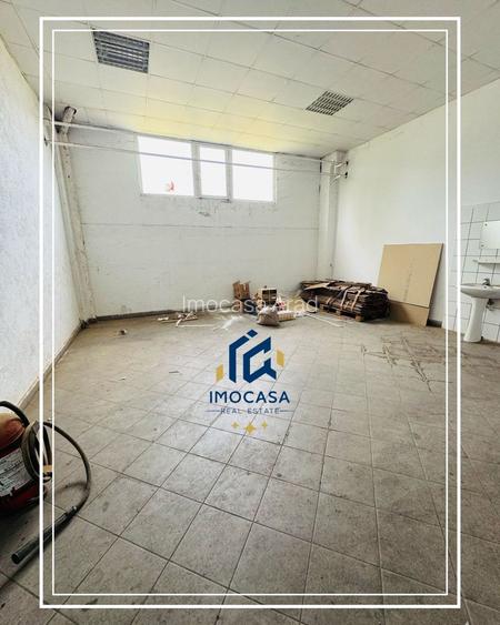 Hala de închiriat 500+500 mp Aradul nou curte comuna păzită - 7