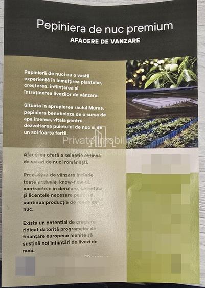 Afacere de Vanzare/ Pepiniera Moderna cu Teren 2,37 Ha, Sg de Mures - 3