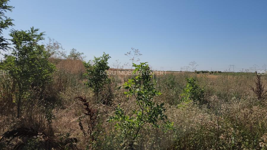 Frumusani-Pasarea,stradal la asfalt,ideala investitie! - 9