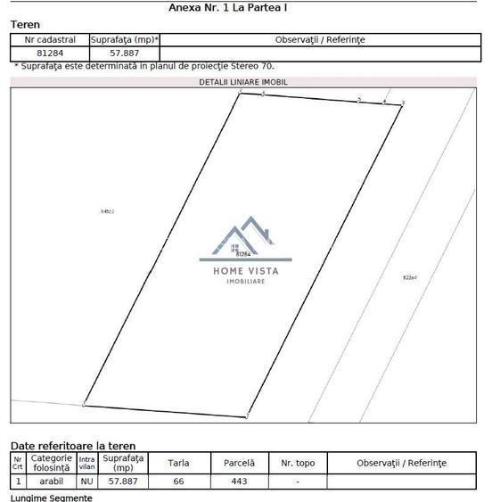 Teren agricol extravilan – Rătești, Argeș – 57.887 mp - Langa A1 - 2
