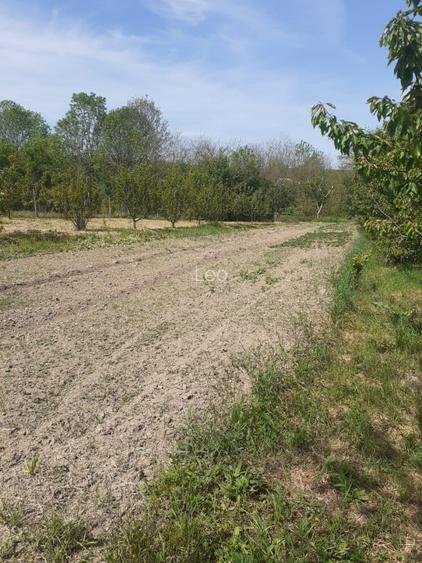 Casă de vânzare Vișag - 8