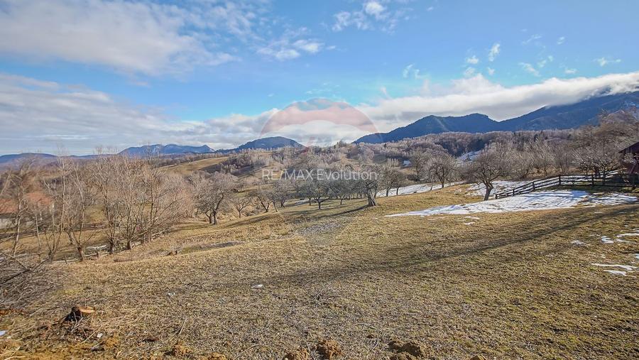 Comision 0%| Teren intravilan Sohodol 2495 mp| Apa si curent - 5