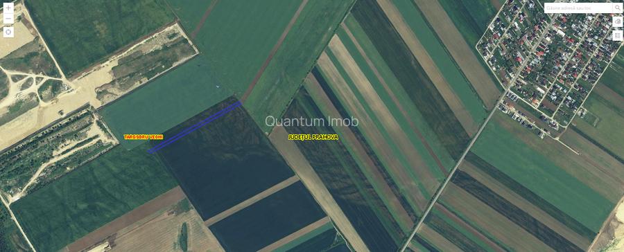 Vânzare teren extravilan arabil - Târgșoru Vechi, județ Prahova - 3