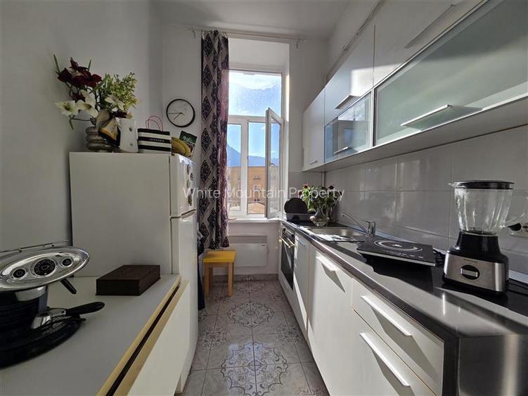 Garsoniera pretabila birou in Centrul Istoric Palatul Soarelui - 19