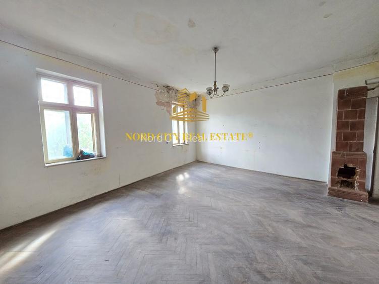 Vila - Ferdinand - Armeneasca -Pache Protopopescu - 11