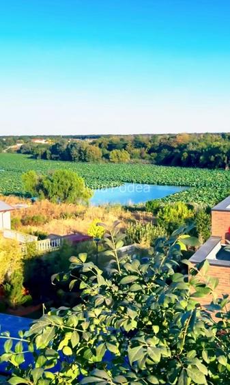 Vila 4 camere 3 bai Snagov  - 8