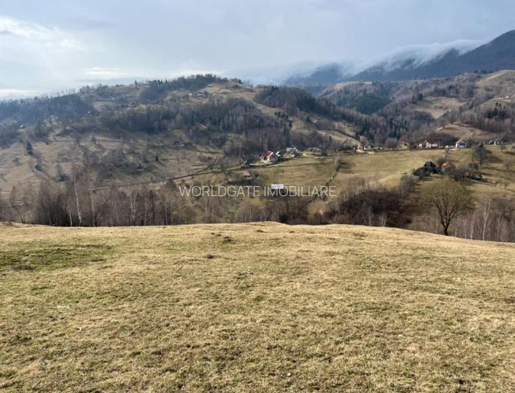 Vanzare Teren cu Punct de Belvedere in Moieciu zona Magura-Pestera - 7